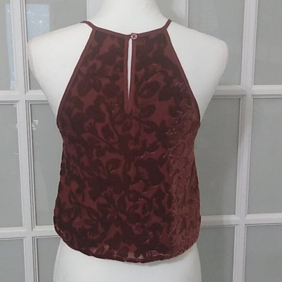 Forever 21 Ornate Velvet Crop Top in Red Rust - Picture 6 of 15